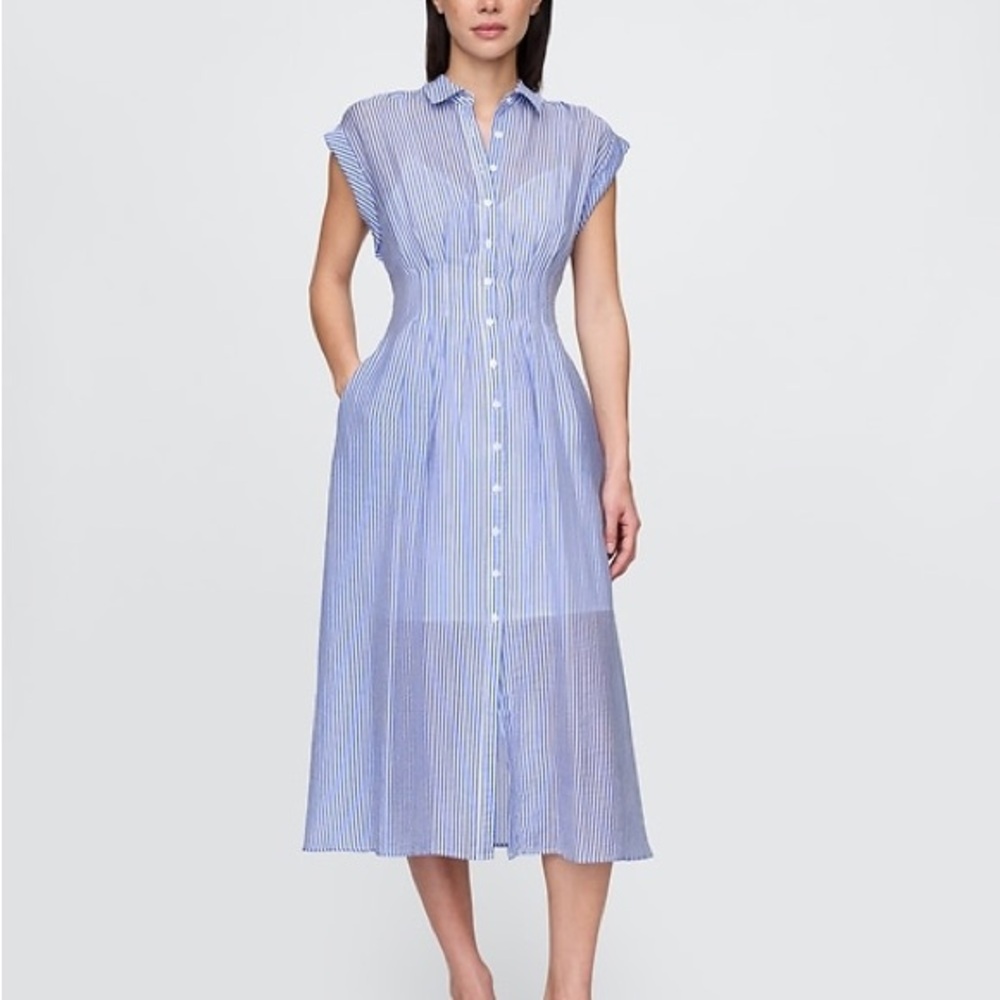 GAP Blue and White Striped Midi Dress